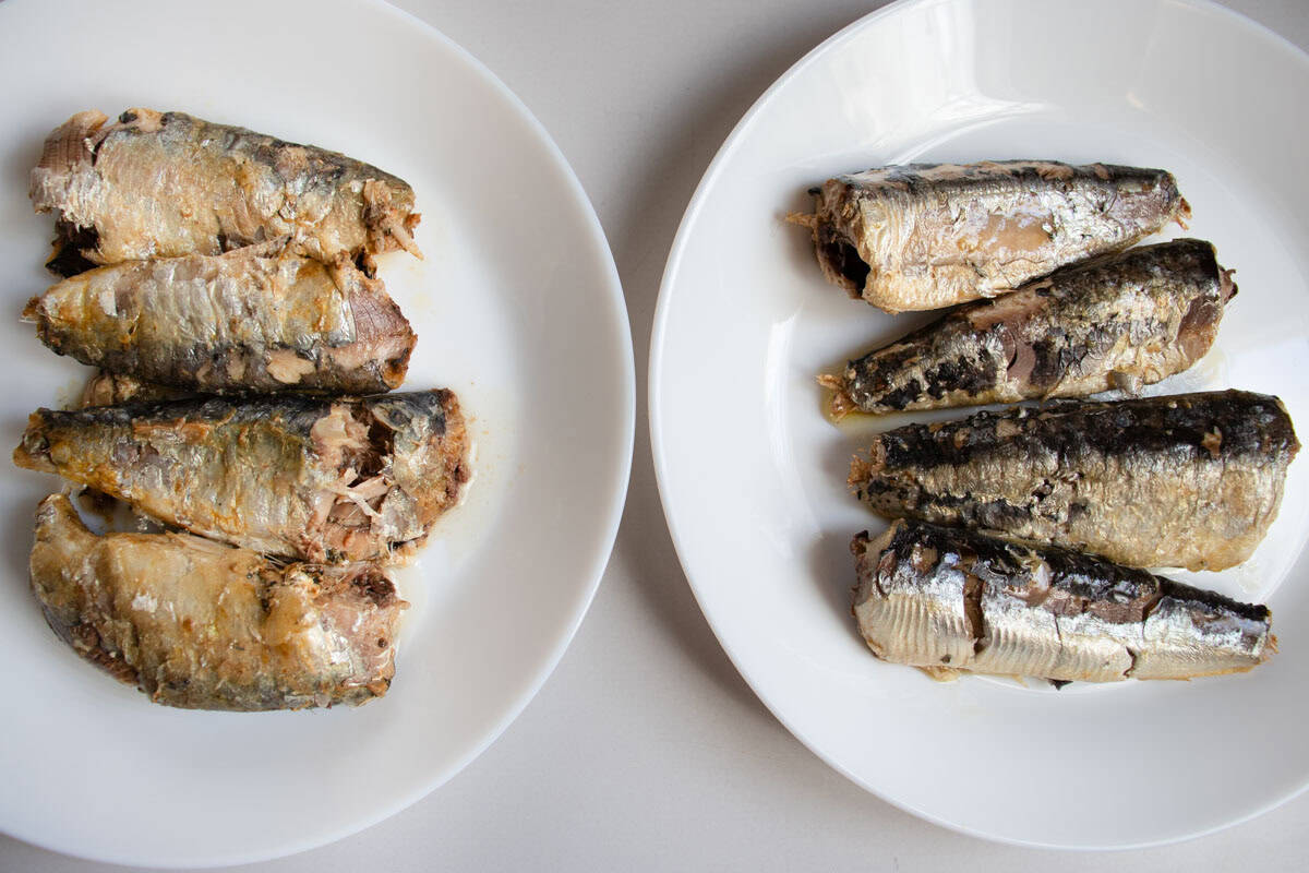 4 pilchards on a white plate and 4 sardines on second white plate.