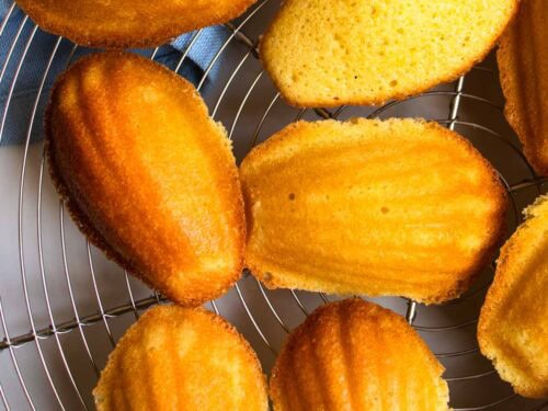 French Lemon Madeleines