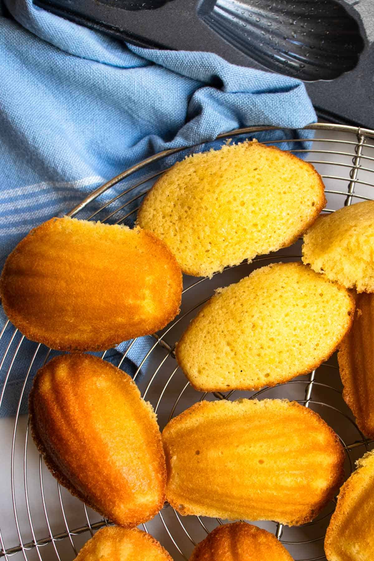 French lemon Madeleines on wire tray, one lemon Madeleine broken in half to show fluffy insides, Madeleine tray pan in background.