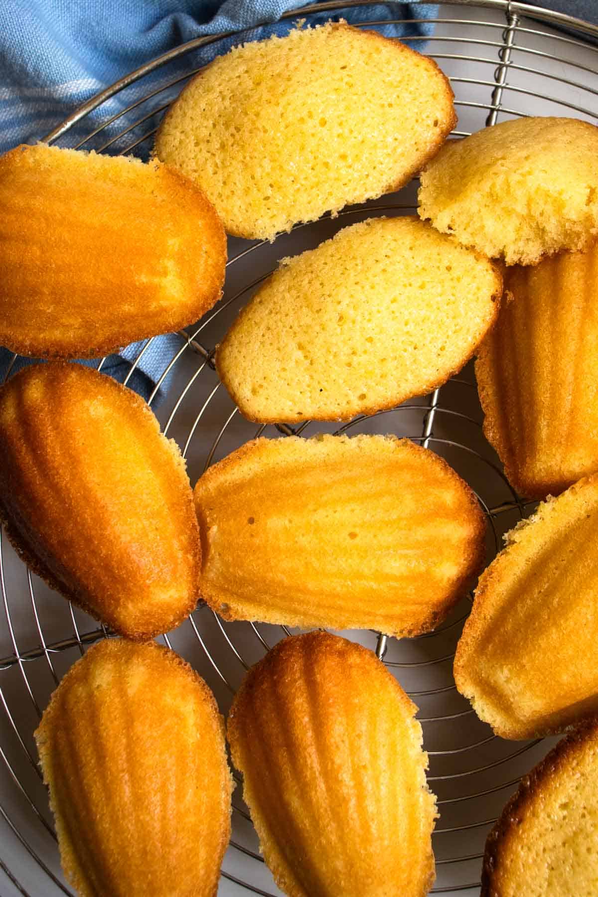 French lemon Madeleines on wire tray, one lemon Madeleine broken in half to show fluffy insides.